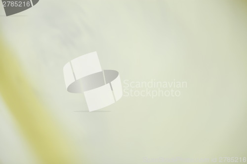 Image of Abstract fancy background