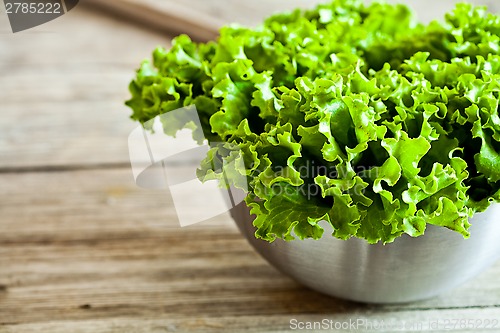 Image of lettuce salad in metal bowl 