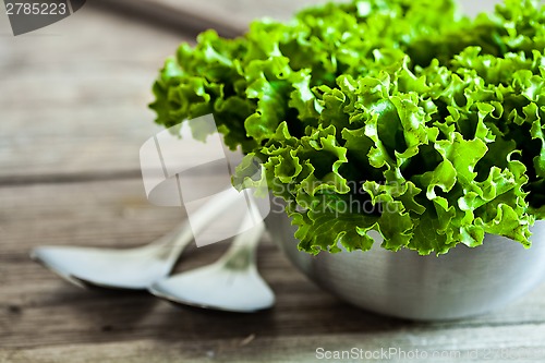 Image of lettuce salad in metal bowl and spoons 