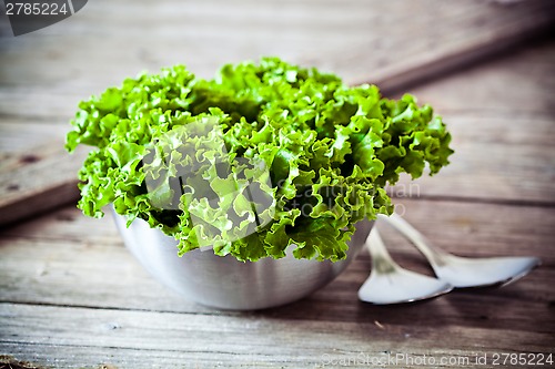 Image of lettuce salad in metal bowl and spoons 