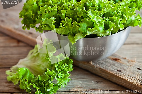 Image of lettuce salad in metal bowl