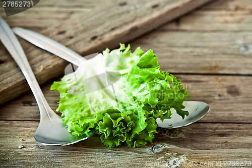 Image of lettuce salad leaf and two spoons 