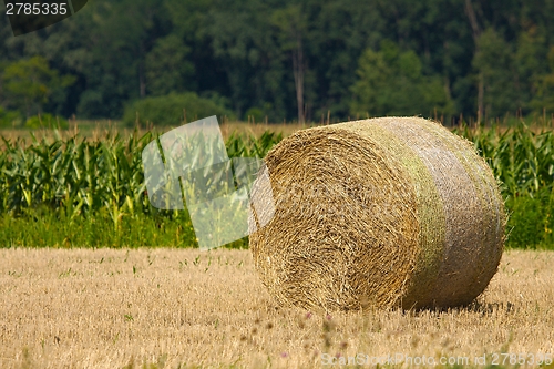 Image of Agriculture