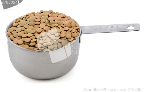 Image of Green lentils in an American cup measure