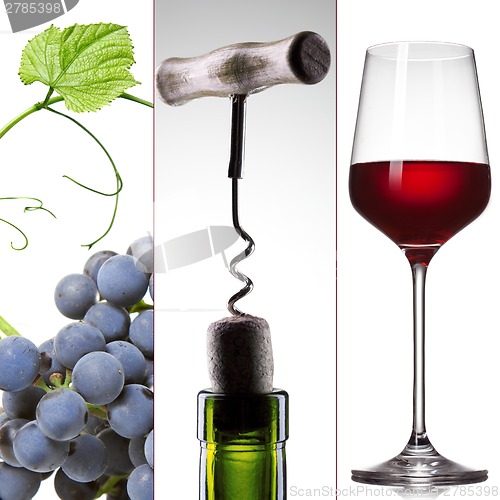Image of wine collage - grape, bottle and glass