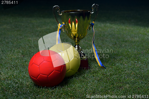 Image of soccer cup