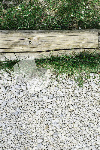 Image of Green grass and stones