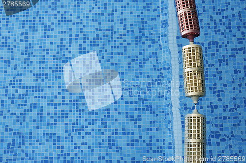 Image of Swimming pool and hall