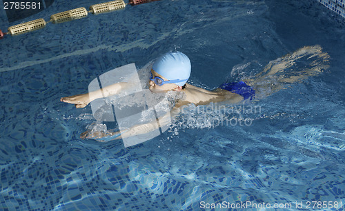 Image of Child swimmer in swimming pool