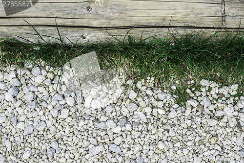 Image of Green grass and stones