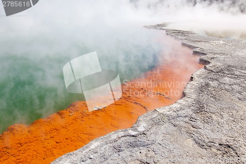 Image of champagne pool