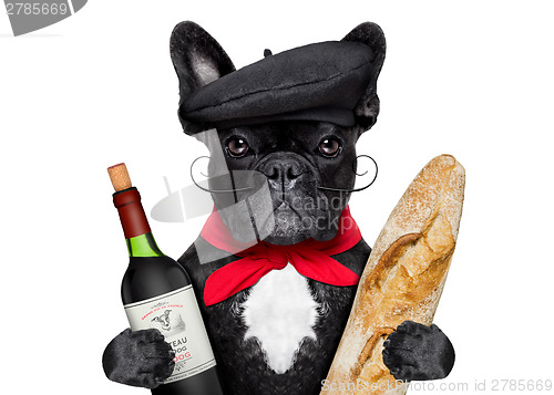 Image of french dog