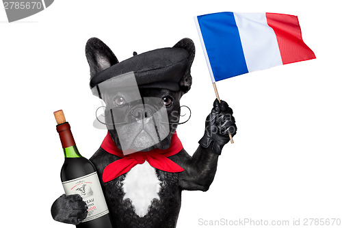 Image of french dog