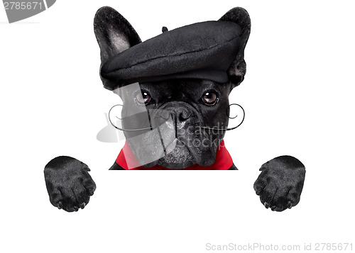 Image of french dog