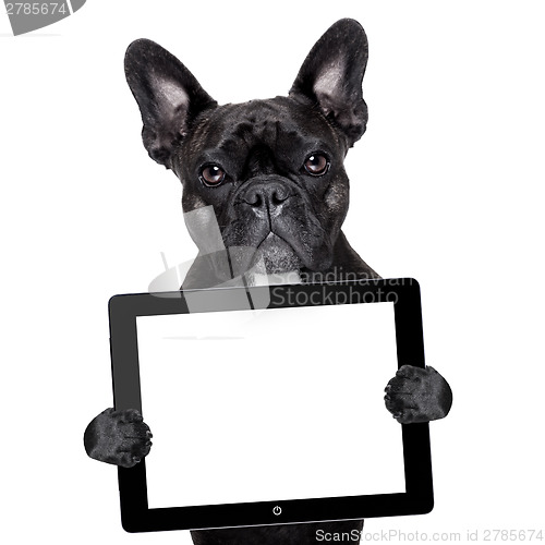 Image of dog with tablet pc