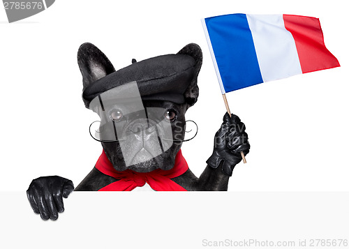 Image of french dog