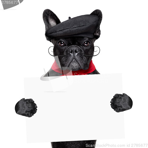 Image of french dog