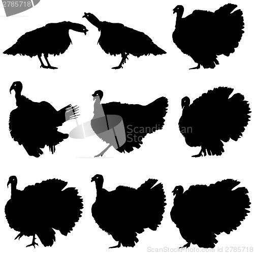 Image of Silhouettes of turkeys. Vector illustration.