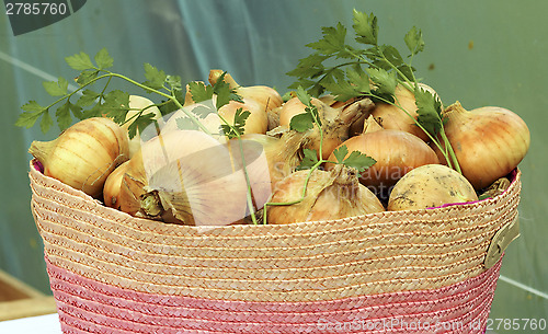 Image of Onions basket 