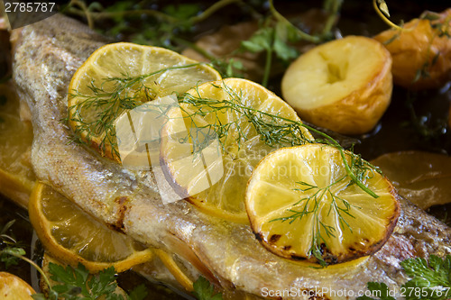 Image of Lemon On Trout Fillet