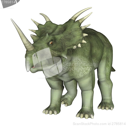 Image of Dinosaur Styracosaurus