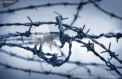 Image of Barbed Wire