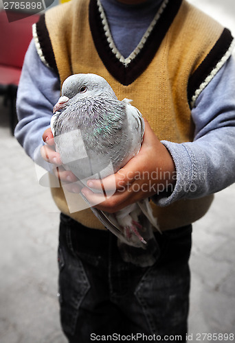 Image of Pigeons in a boys hand