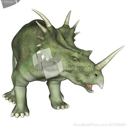 Image of Aggressive Dinosaur Styracosaurus