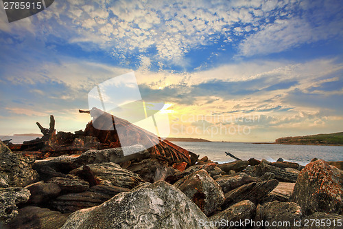 Image of Rusted shipwreck at Botany Bay Sydney Australia