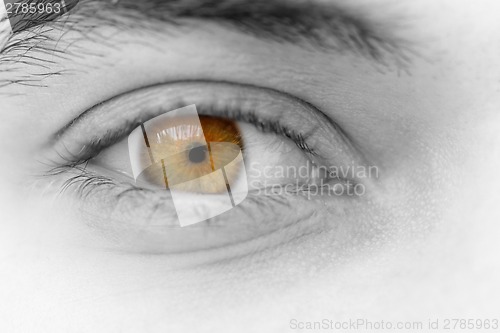 Image of Young man's eyes