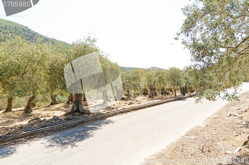 Image of Grece, Thassos