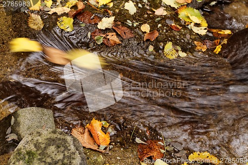 Image of Lake in autumn