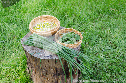 Image of herbal set and garden green onion on stump outdoor 