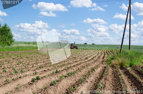 Image of tractor plough potato plants in field 