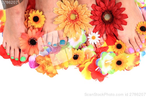 Image of women feets and flowers (pedicure tbackground)