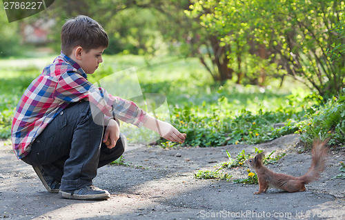 Image of Little boy and squirrel