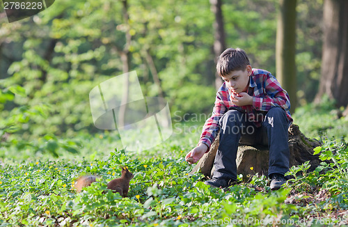 Image of Little boy and squirrel