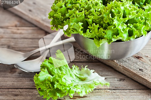 Image of lettuce salad in metal bowl and spoons 