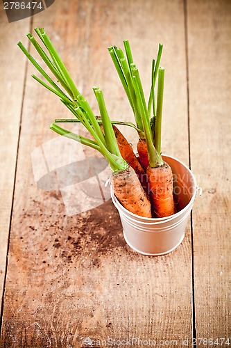 Image of fresh carrots bunch in white bucket 