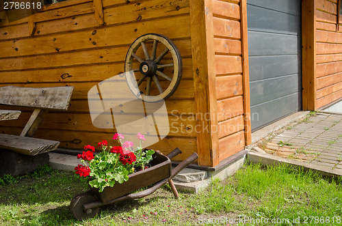 Image of wheelbarrow pelargonium rural garden decoration 