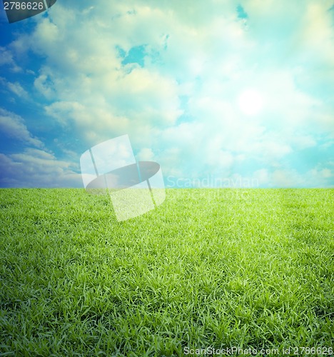 Image of Field of grass,blue sky