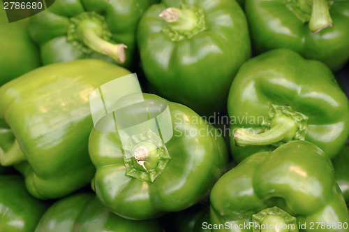 Image of Green pepper 