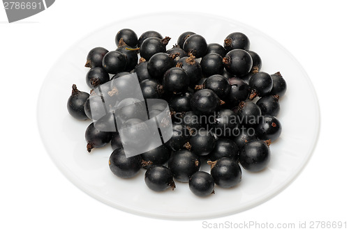 Image of Blackcurrant 