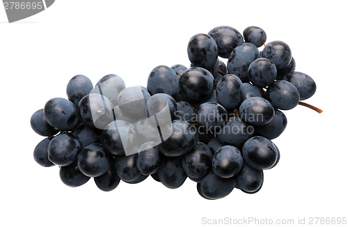 Image of Black grapes 