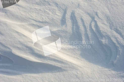 Image of Snow patterns 