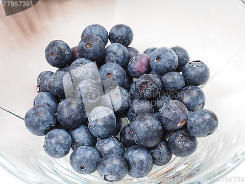 Image of Blueberry bowl