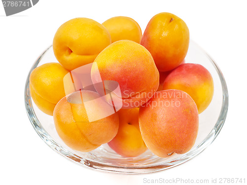 Image of Apricot