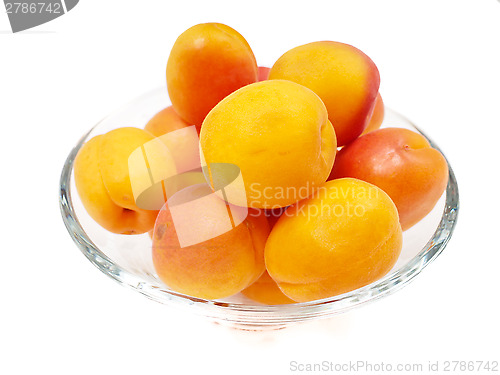 Image of Apricot