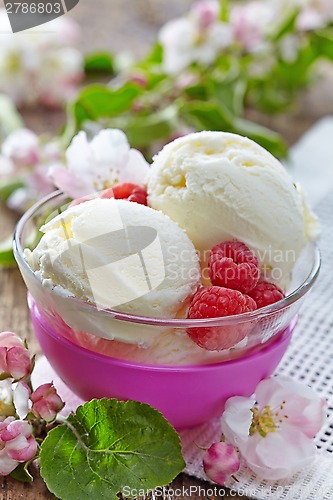 Image of Vanilla Ice Cream with fresh berries