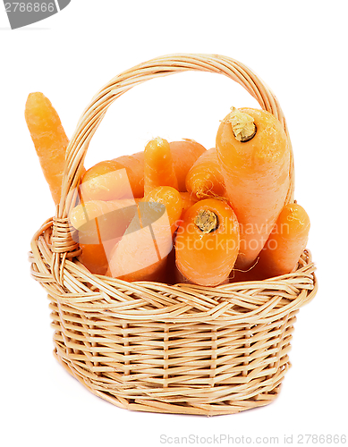 Image of Carrot in Basket